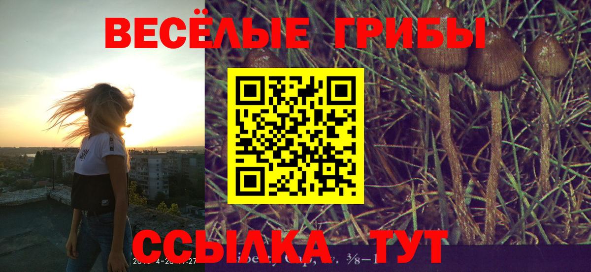 Галлюциногенные грибы Psilocybine cubensis  Галлюциногенные грибы GOLDEN TEACHER  Вход с VPN  Бийск 